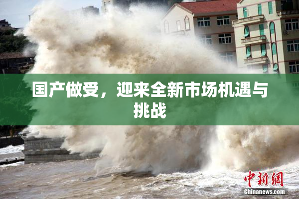 国产做受，迎来全新市场机遇与挑战