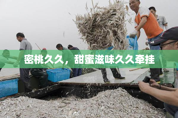 密桃久久，甜蜜滋味久久牵挂