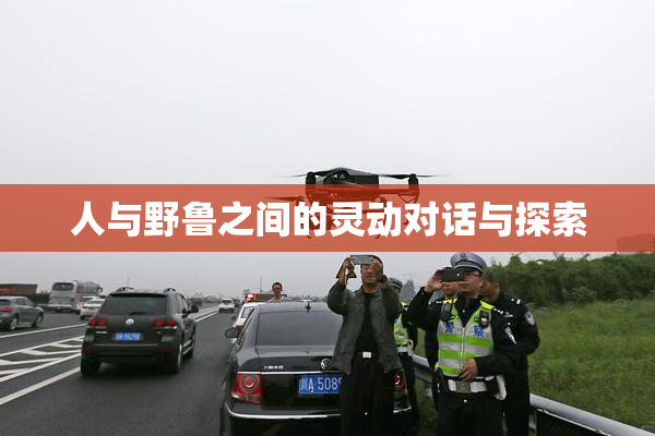 人与野鲁之间的灵动对话与探索