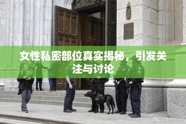 女性私密部位真实揭秘，引发关注与讨论