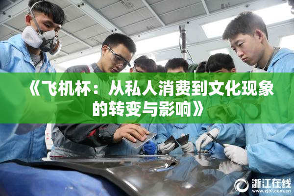 《飞机杯：从私人消费到文化现象的转变与影响》