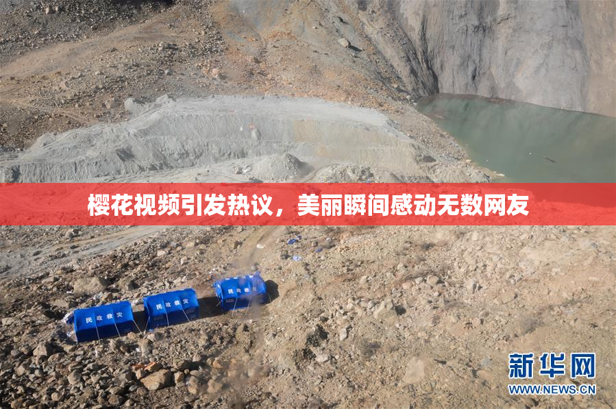 樱花视频引发热议，美丽瞬间感动无数网友