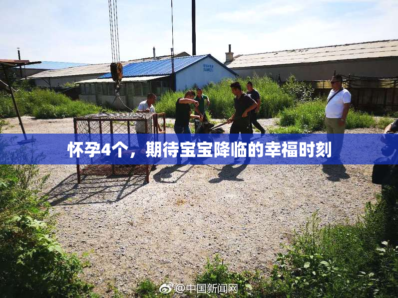 怀孕4个，期待宝宝降临的幸福时刻