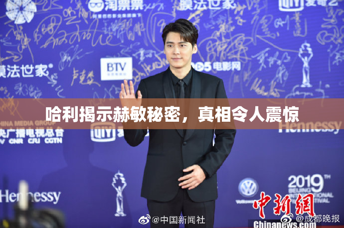 哈利揭示赫敏秘密，真相令人震惊