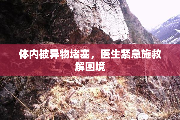 体内被异物堵塞，医生紧急施救解困境