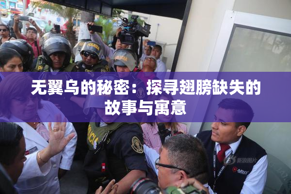 无翼乌的秘密：探寻翅膀缺失的故事与寓意
