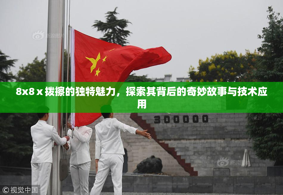 8x8ⅹ拨擦的独特魅力，探索其背后的奇妙故事与技术应用