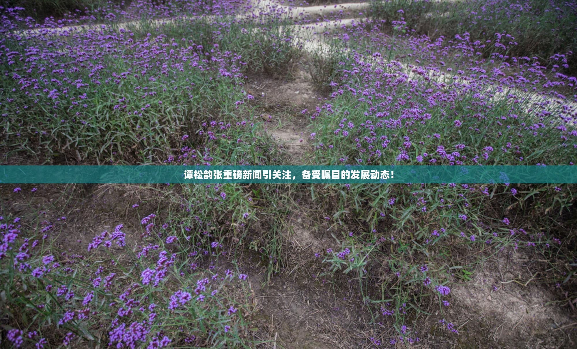 谭松韵张重磅新闻引关注，备受瞩目的发展动态！