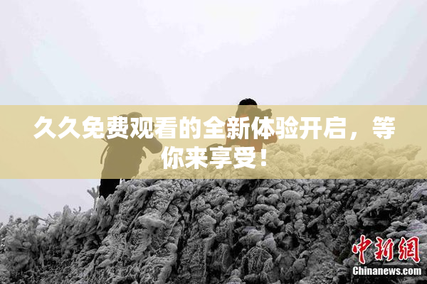 久久免费观看的全新体验开启，等你来享受！