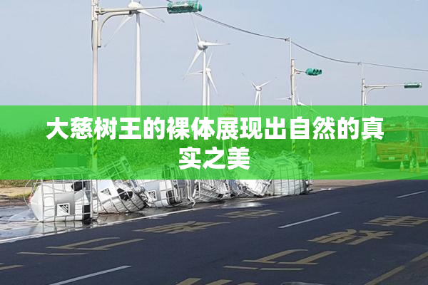 大慈树王的裸体展现出自然的真实之美