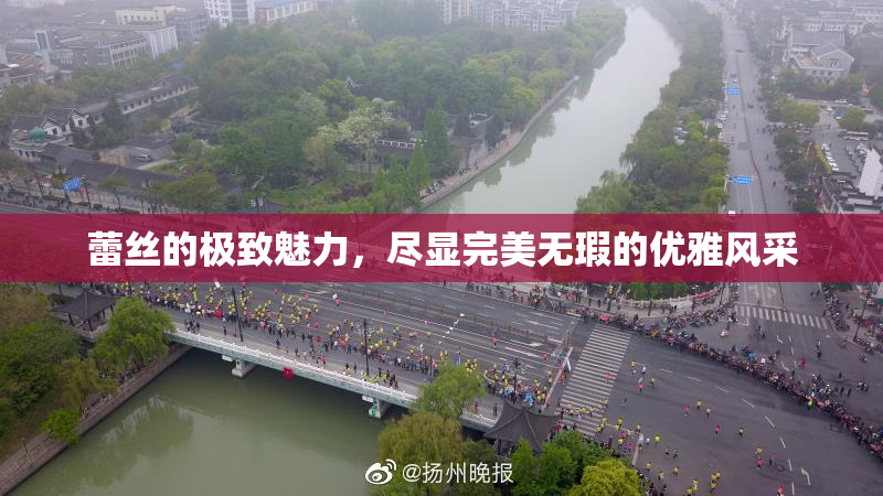 蕾丝的极致魅力，尽显完美无瑕的优雅风采