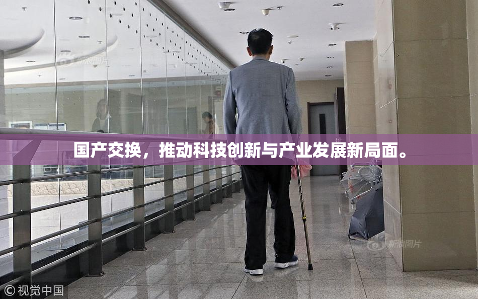 国产交换，推动科技创新与产业发展新局面。