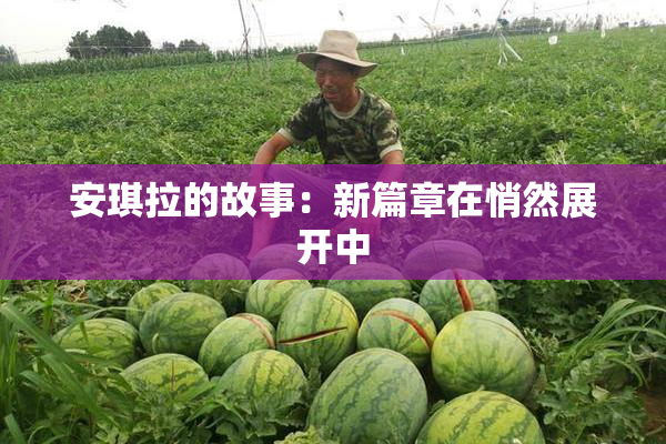 安琪拉的故事：新篇章在悄然展开中