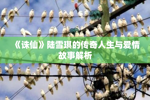 《诛仙》陆雪琪的传奇人生与爱情故事解析