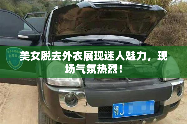 美女脱去外衣展现迷人魅力，现场气氛热烈！