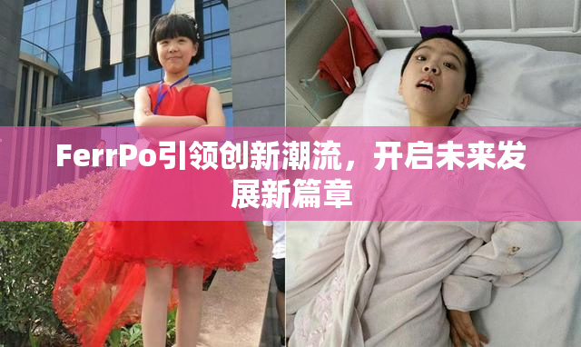 FerrPo引领创新潮流，开启未来发展新篇章