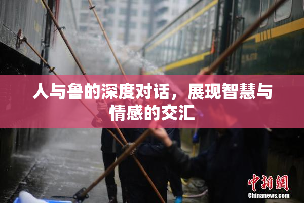 人与鲁的深度对话，展现智慧与情感的交汇