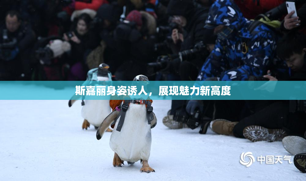 斯嘉丽身姿诱人，展现魅力新高度
