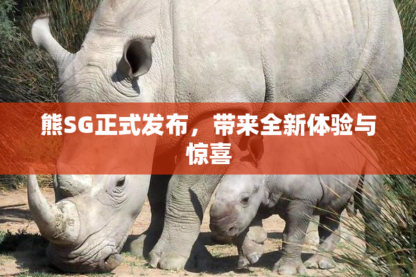 熊SG正式发布，带来全新体验与惊喜