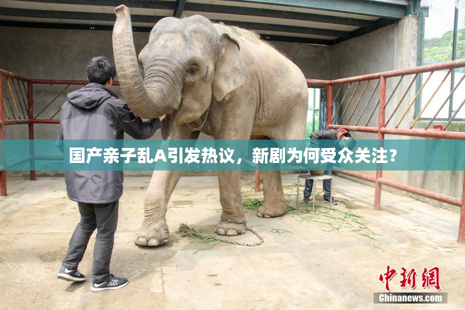 国产亲子乱A引发热议，新剧为何受众关注？