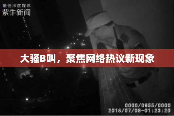 大骚B叫，聚焦网络热议新现象