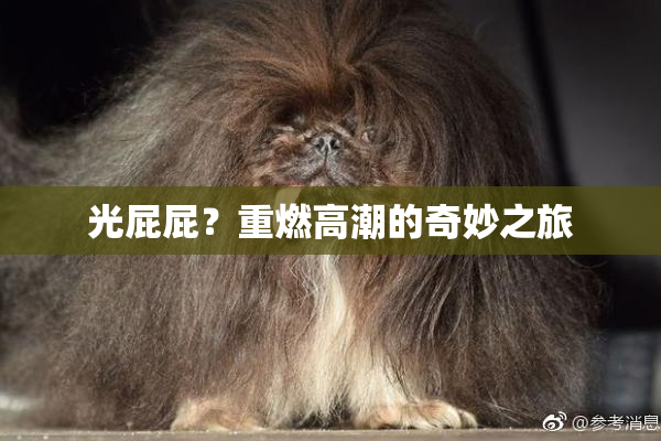 光屁屁？重燃高潮的奇妙之旅