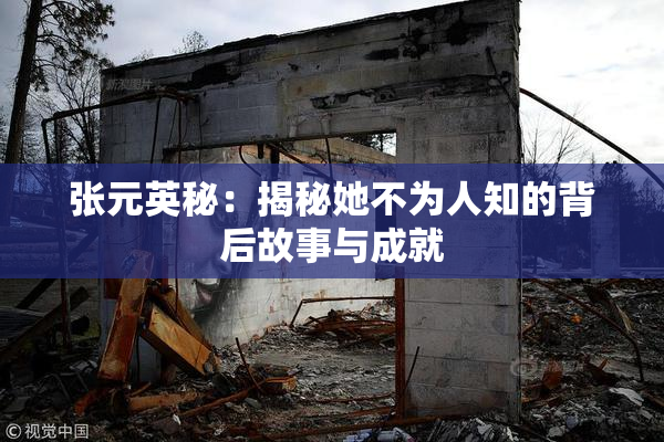 张元英秘：揭秘她不为人知的背后故事与成就