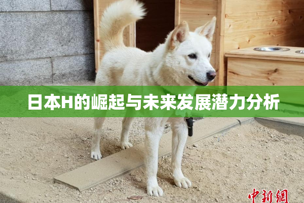 日本H的崛起与未来发展潜力分析