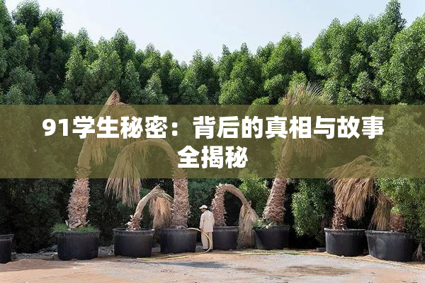 91学生秘密：背后的真相与故事全揭秘