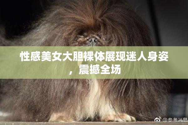 性感美女大胆裸体展现迷人身姿，震撼全场