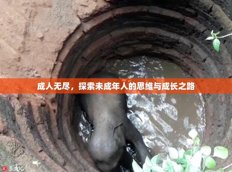 成人无尽，探索未成年人的思维与成长之路