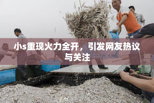 小s重现火力全开，引发网友热议与关注