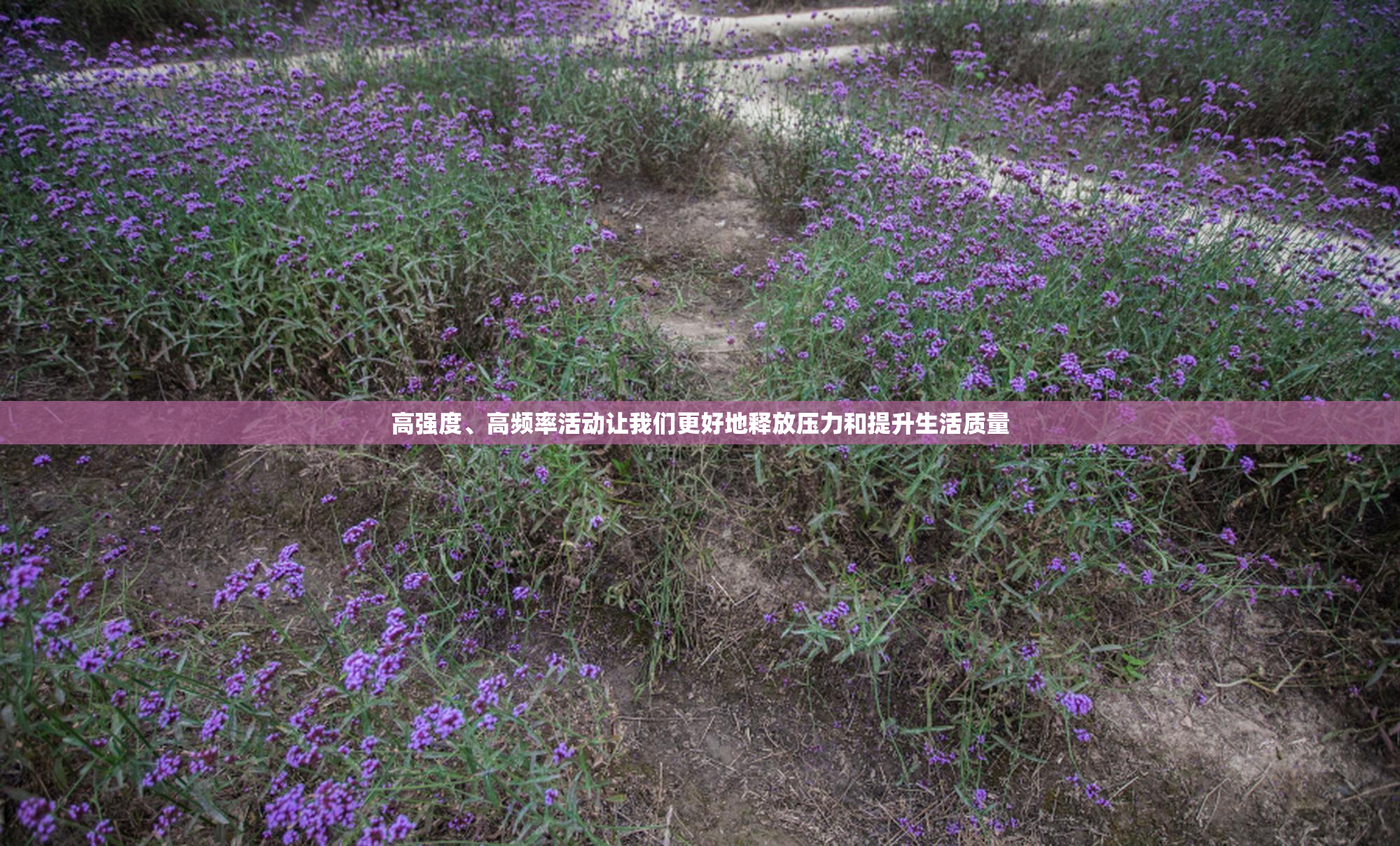 高强度、高频率活动让我们更好地释放压力和提升生活质量