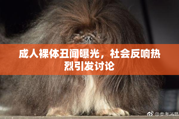 成人裸体丑闻曝光，社会反响热烈引发讨论