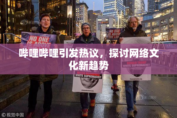 哔哩哔哩引发热议，探讨网络文化新趋势