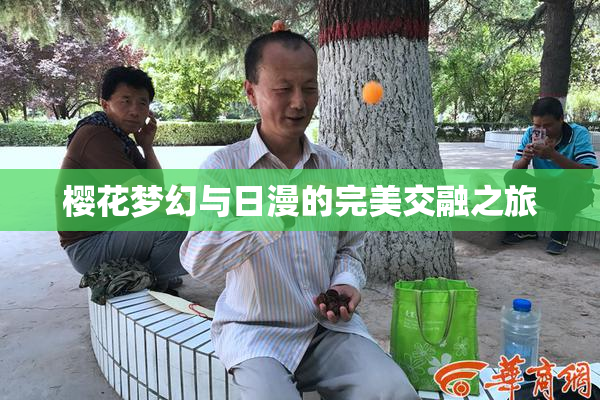 樱花梦幻与日漫的完美交融之旅