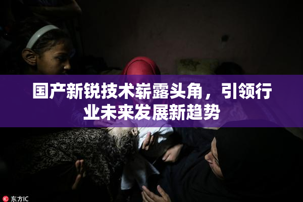 国产新锐技术崭露头角，引领行业未来发展新趋势
