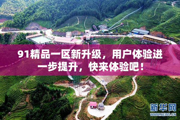 91精品一区新升级，用户体验进一步提升，快来体验吧！
