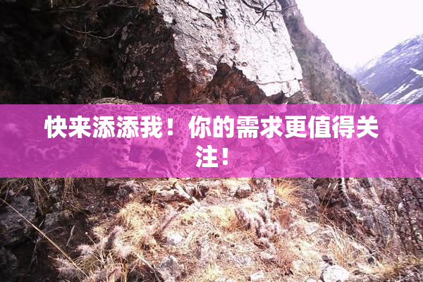 快来添添我！你的需求更值得关注！