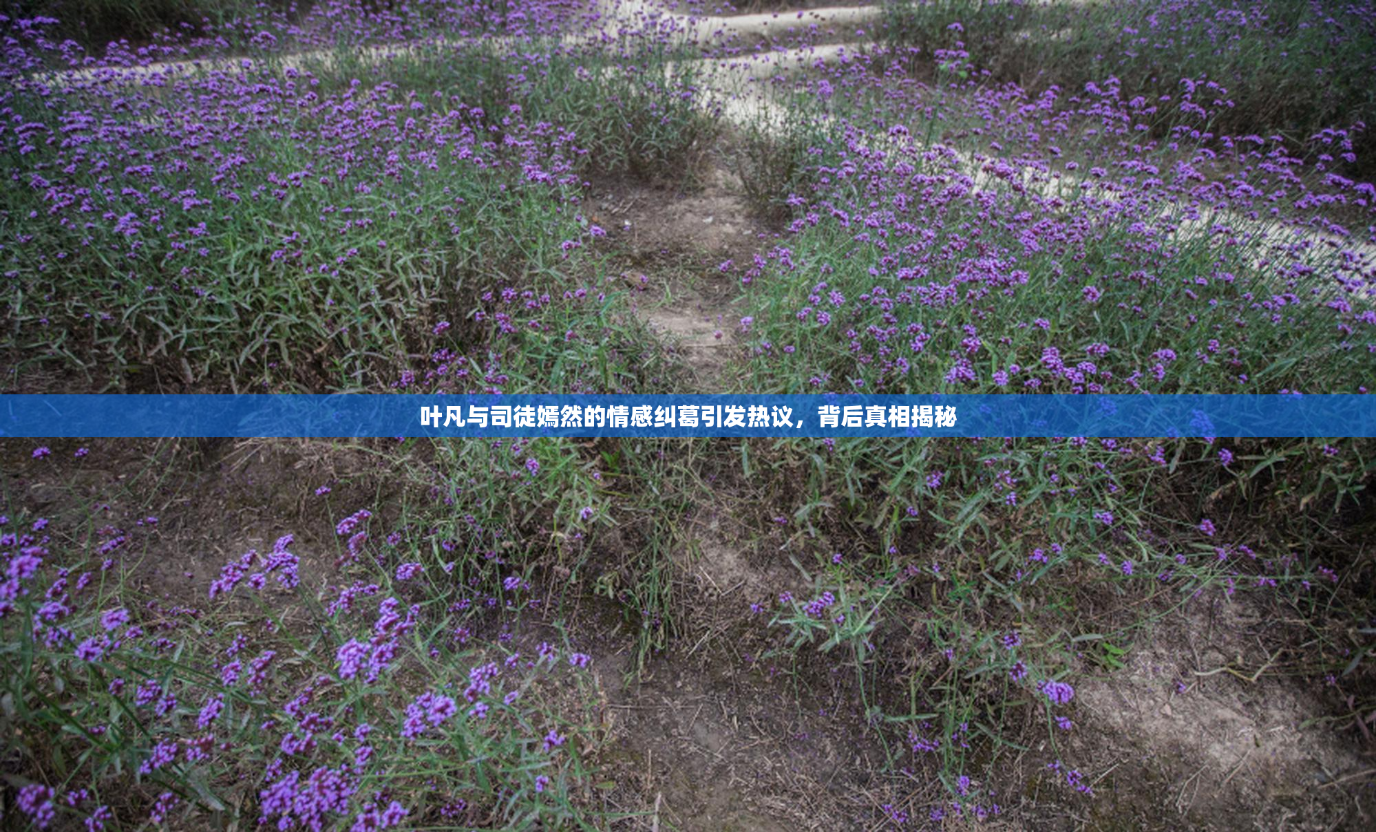 叶凡与司徒嫣然的情感纠葛引发热议，背后真相揭秘