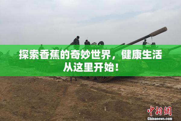 探索香蕉的奇妙世界，健康生活从这里开始！