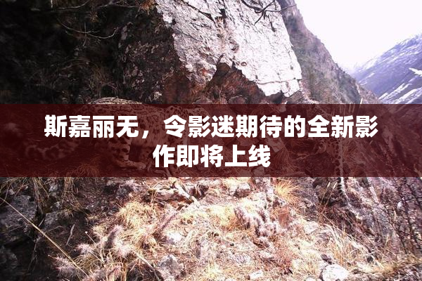 斯嘉丽无，令影迷期待的全新影作即将上线