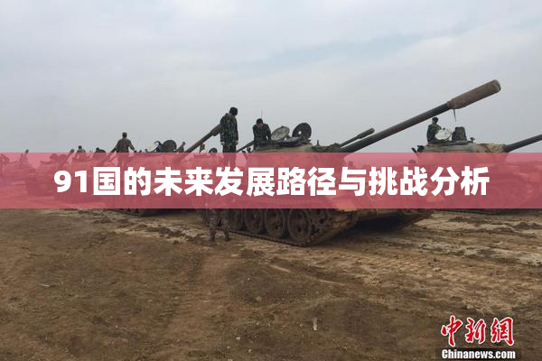 91国的未来发展路径与挑战分析