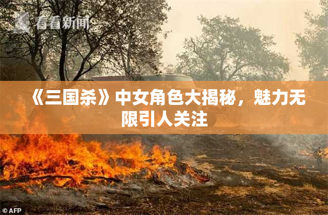《三国杀》中女角色大揭秘，魅力无限引人关注