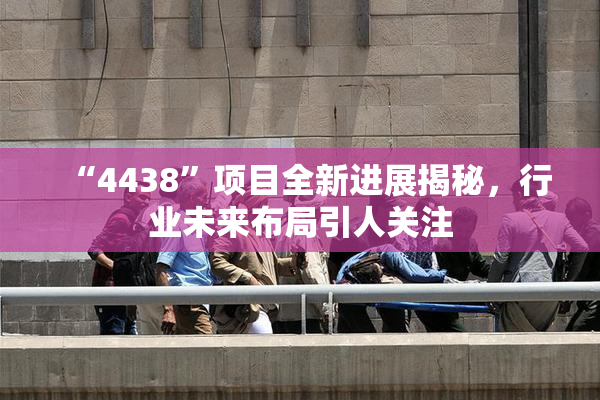 “4438”项目全新进展揭秘，行业未来布局引人关注