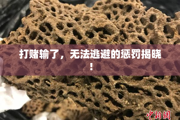 打赌输了，无法逃避的惩罚揭晓！