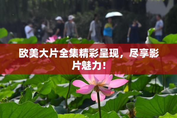 欧美大片全集精彩呈现，尽享影片魅力！