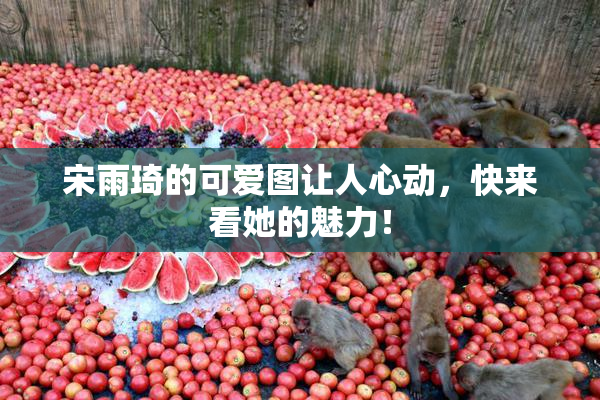 宋雨琦的可爱图让人心动，快来看她的魅力！