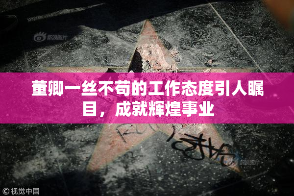 董卿一丝不苟的工作态度引人瞩目，成就辉煌事业