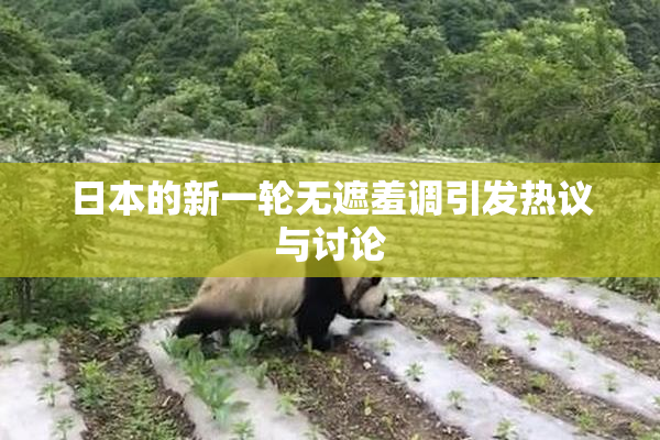 日本的新一轮无遮羞调引发热议与讨论